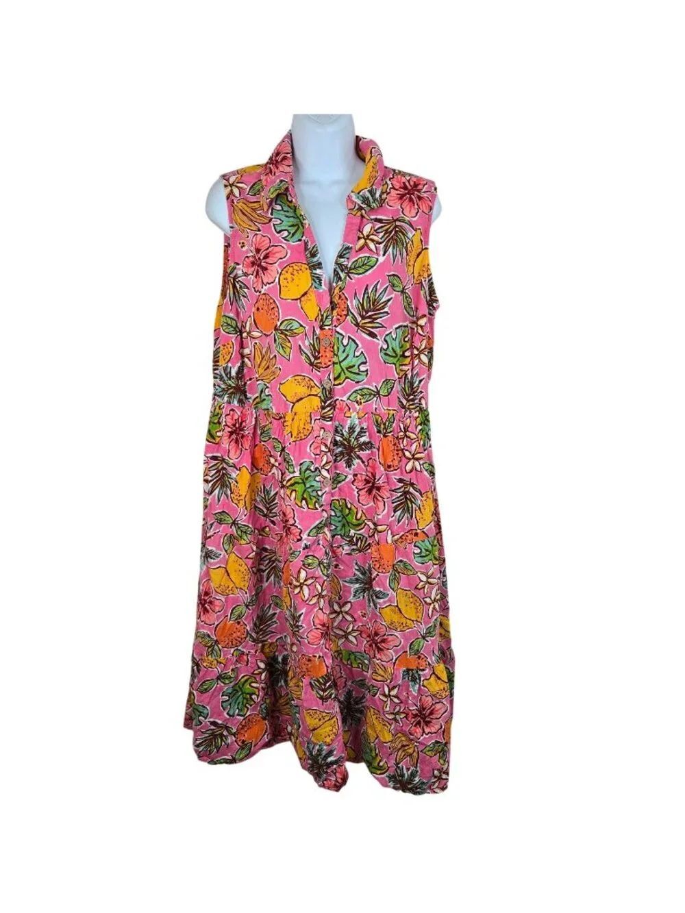 Mlle Gabrielle Sleeveless Pink Button-Front Floral Summer Maxi Dress Womens 1X
